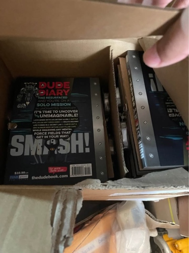 4 Boxes Of 36 Copies Of Books Dude Diary Smash!.