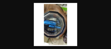 MidNite Solar Type 1 DC Surge Protective Device (SPD) Other Market Ocho Rios 