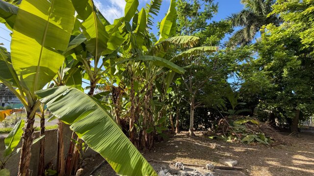 For Sale| Caribbean Park Tower Isle, St. Mary