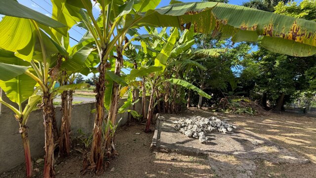 For Sale| Caribbean Park Tower Isle, St. Mary