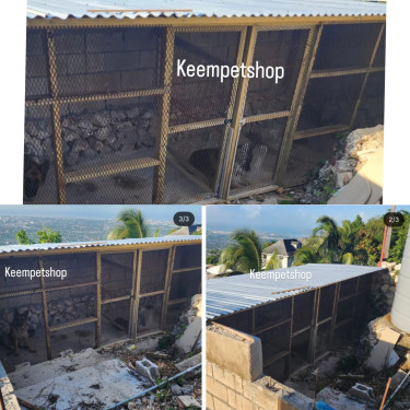 Chicken Coop Built/ Pet Houses Houses Kingston