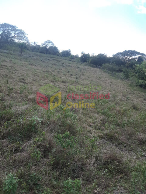 ONE ACRE OF PRIME LAND- South Coast, ST.Elizabeth