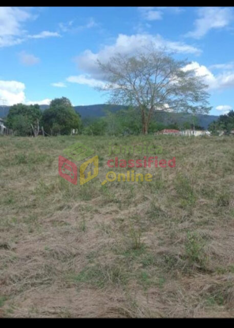 ONE ACRE OF PRIME LAND- South Coast, ST.Elizabeth