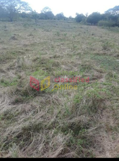 ONE ACRE OF PRIME LAND- South Coast, ST.Elizabeth