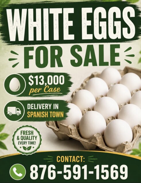 White Eggs For Sale Meat Spanish Town