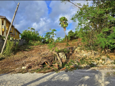 1/4 Acre Residential Land- 125 Rio Nuevo Resorts