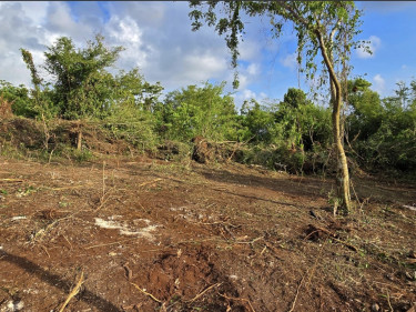 1/4 Acre Residential Land- 125 Rio Nuevo Resorts