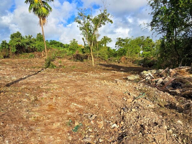 Residential Lot For Sale| Rio Nuevo Resorts