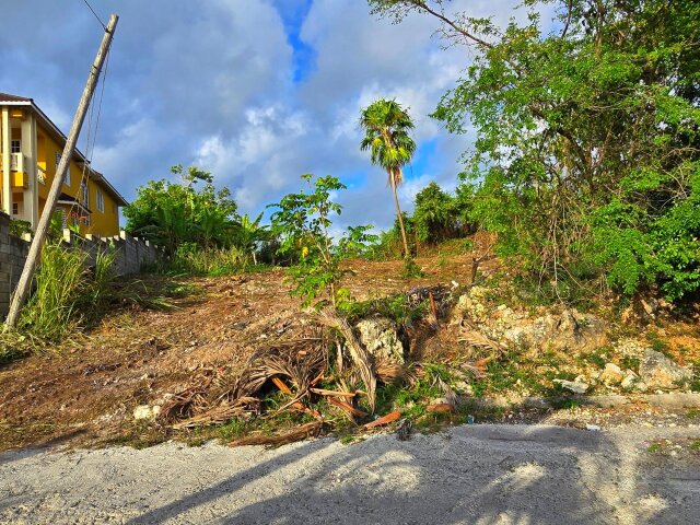 Residential Lot For Sale| Rio Nuevo Resorts