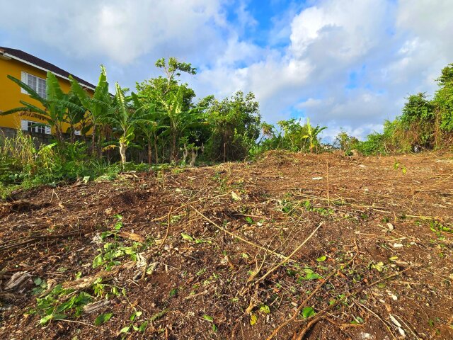 Residential Lot For Sale| Rio Nuevo Resorts