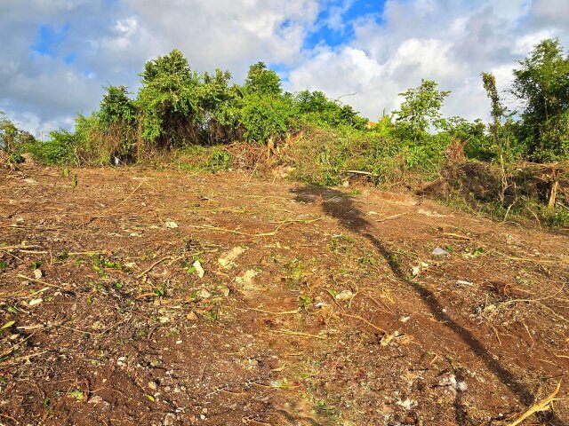 Residential Lot For Sale| Rio Nuevo Resorts