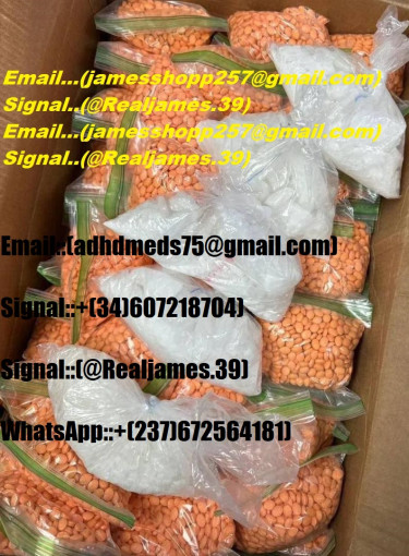 High-Quality 6 Bedrooms, Fast Delivery Available Apartments Best Place