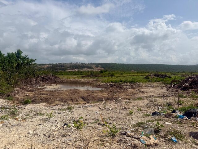 Land For Sale| Flamingo Beach, Trelawny