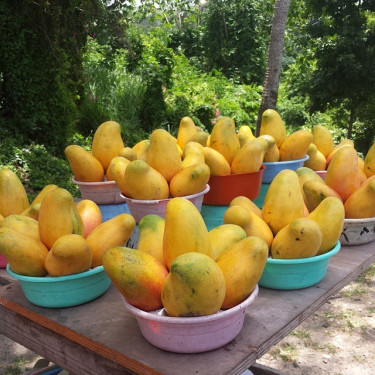Julie And East Indian Mango Ground Produce Montego Bay