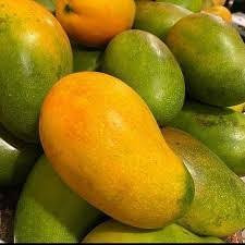 Julie And East Indian Mango