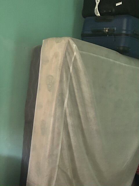 Free Bed And Base Burnt Victim Or Homeless Bed Sheets & Sets Daytona