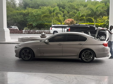 2013 BMW 5 Series 520i