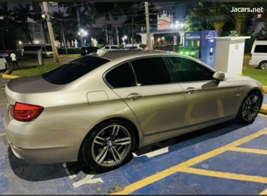 2013 BMW 5 Series 520i
