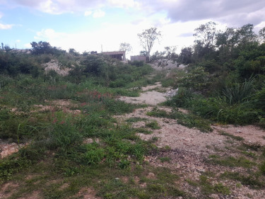 1 Acres Residential/Development Land