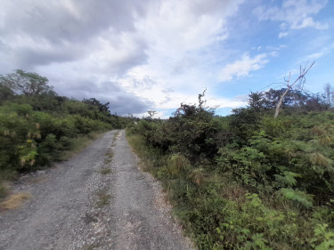 1 Acres Residential/Development Land