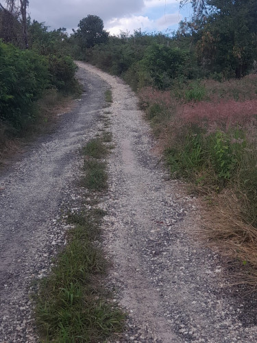 1 Acres Residential/Development Land