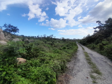 1 Acres Residential/Development Land Land Albion Heights