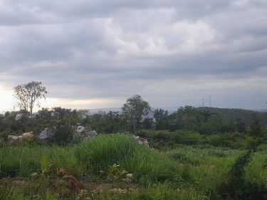 1 Acres Residential/Development Land