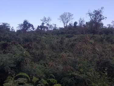 1 Acres Residential/Development Land