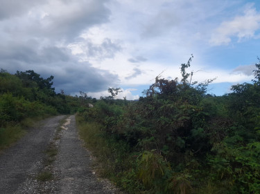1 Acres Residential/Development Land