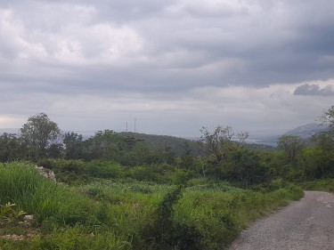 1 Acres Residential/Development Land