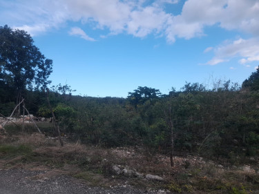 1 Acres Residential/Development Land