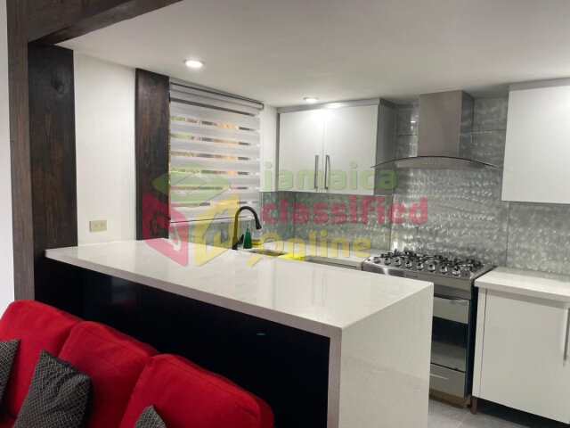 Executive 1 Bedroom Flat