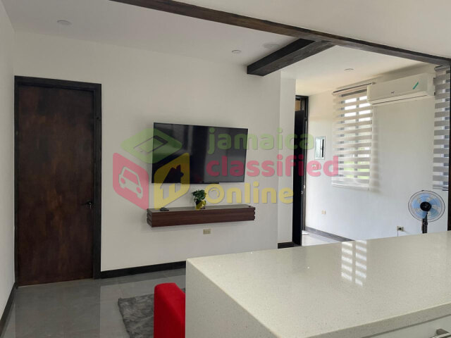 Executive 1 Bedroom Flat