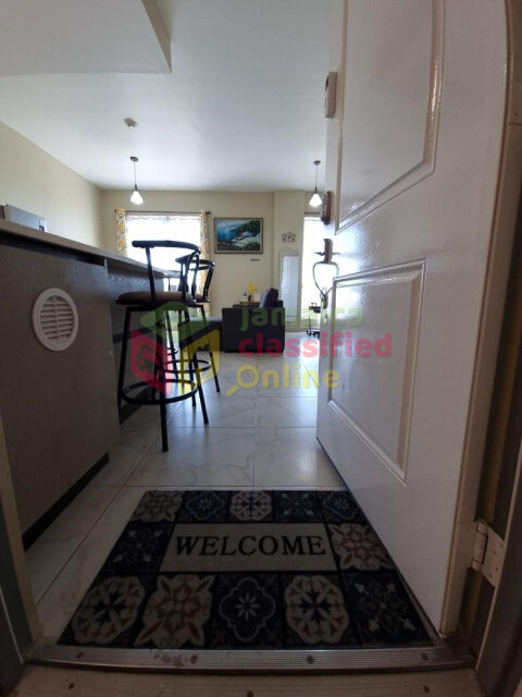 Spacious 1 Bedroom Furnished Apartment in Kingston