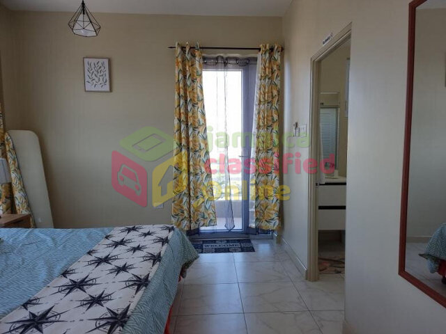 Spacious 1 Bedroom Furnished Apartment in Kingston