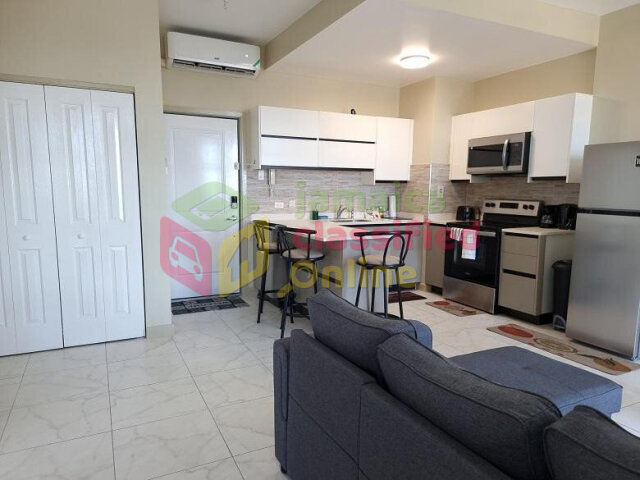 Spacious 1 Bedroom Furnished Apartment in Kingston