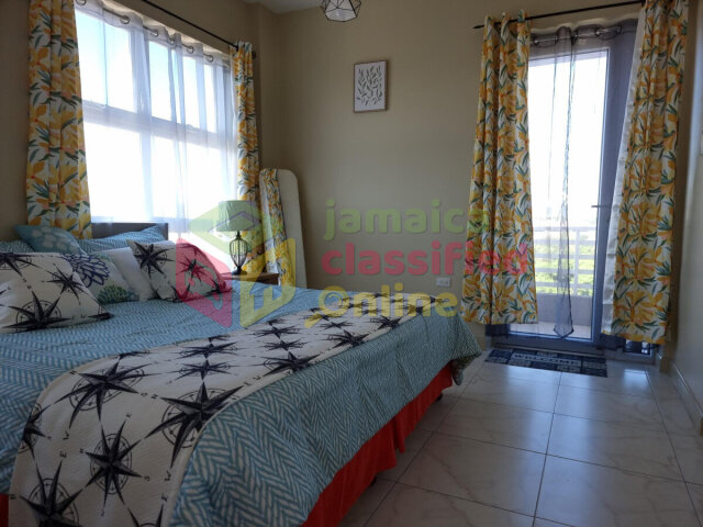 Spacious 1 Bedroom Furnished Apartment in Kingston