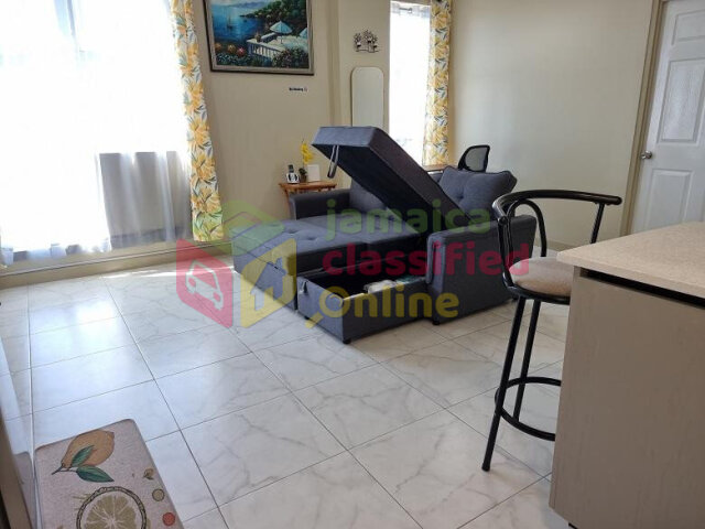 Spacious 1 Bedroom Furnished Apartment in Kingston