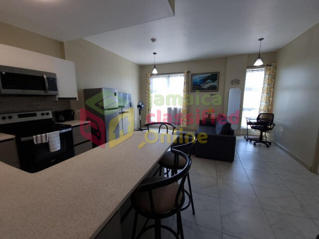 Spacious 1 Bedroom Furnished Apartment in Kingston