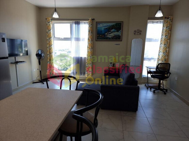 Spacious 1 Bedroom Furnished Apartment in Kingston