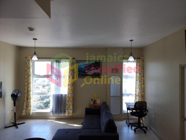 Spacious 1 Bedroom Furnished Apartment in Kingston