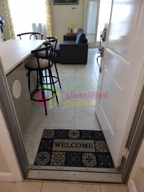 Spacious 1 Bedroom Furnished Apartment in Kingston