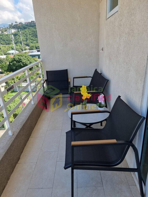 Spacious 1 Bedroom Furnished Apartment in Kingston