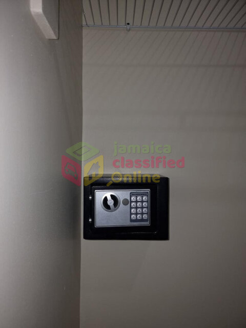 Spacious 1 Bedroom Furnished Apartment in Kingston
