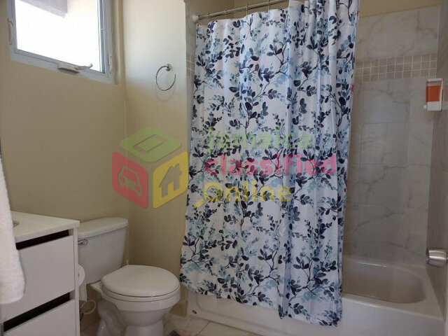 Spacious 1 Bedroom Furnished Apartment in Kingston