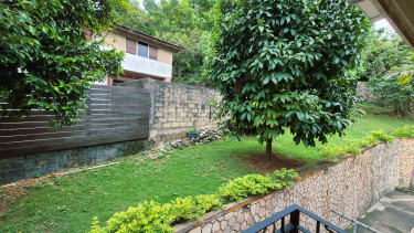 Spacious 3 Bedrooms Apartment in Forest Hill
