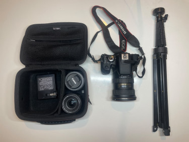 Canon T7i DSLR Bundle + 3 Lenses - MINT Cameras Constant Spring
