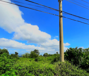 1/4 Acre Of Land 