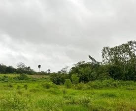 21 Acres Of Land Land Brownberry Community