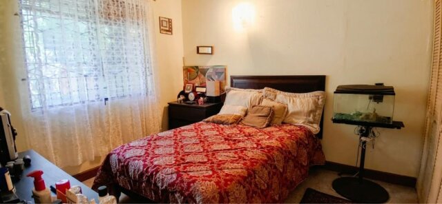 House For Sale| Pimento Drive, St. Mary